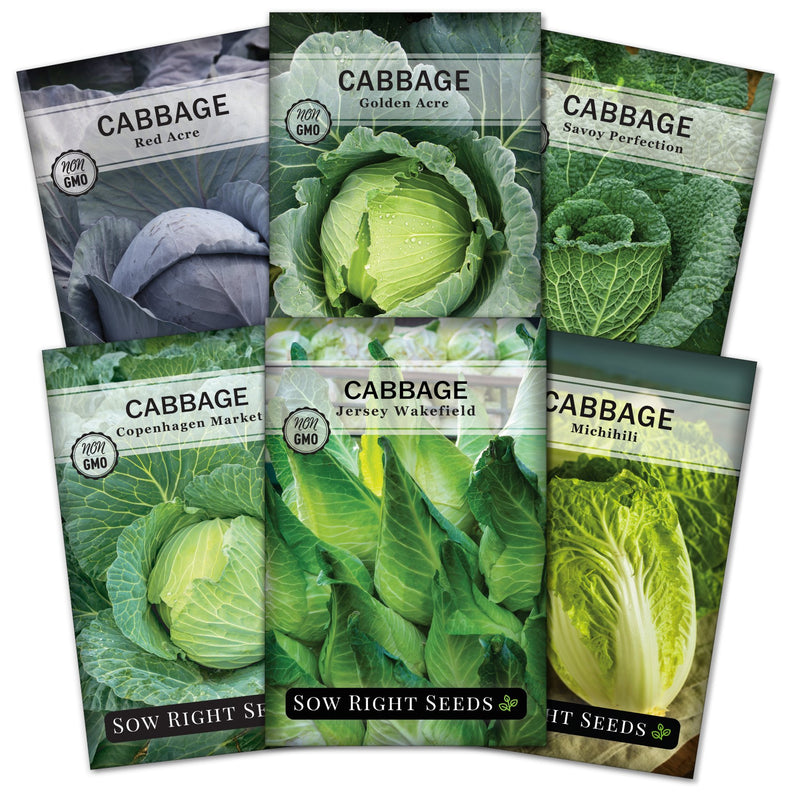 cabbage seed packet collection with 6 varieties of seeds for sale