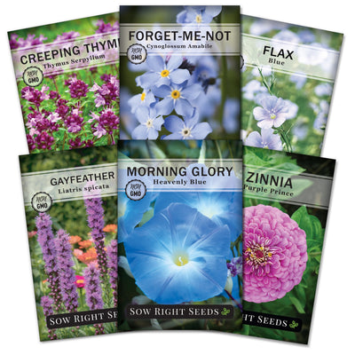 cool color flower seed collection including 6 seed packet of blue and purple flower seeds for sale