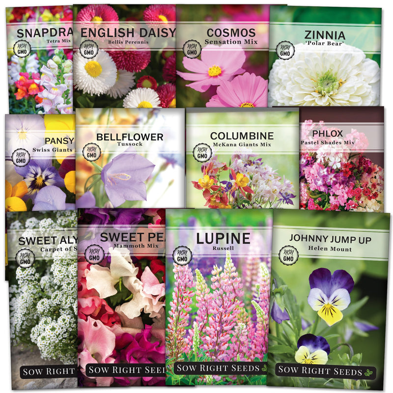 cottage seed packet collection with 12 varieties for sale