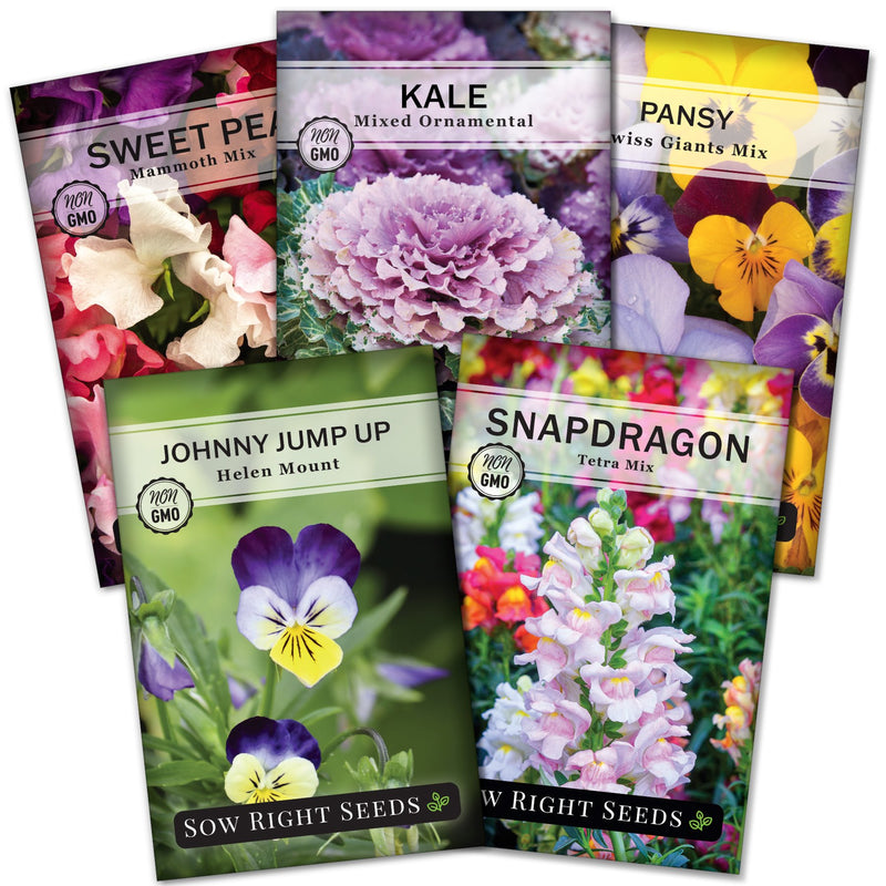 frost hardy seed packet collection with 5 varieties for sale