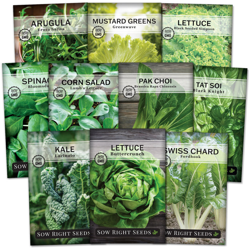 large greens seed packet collection with 10 varieties of seeds for sale