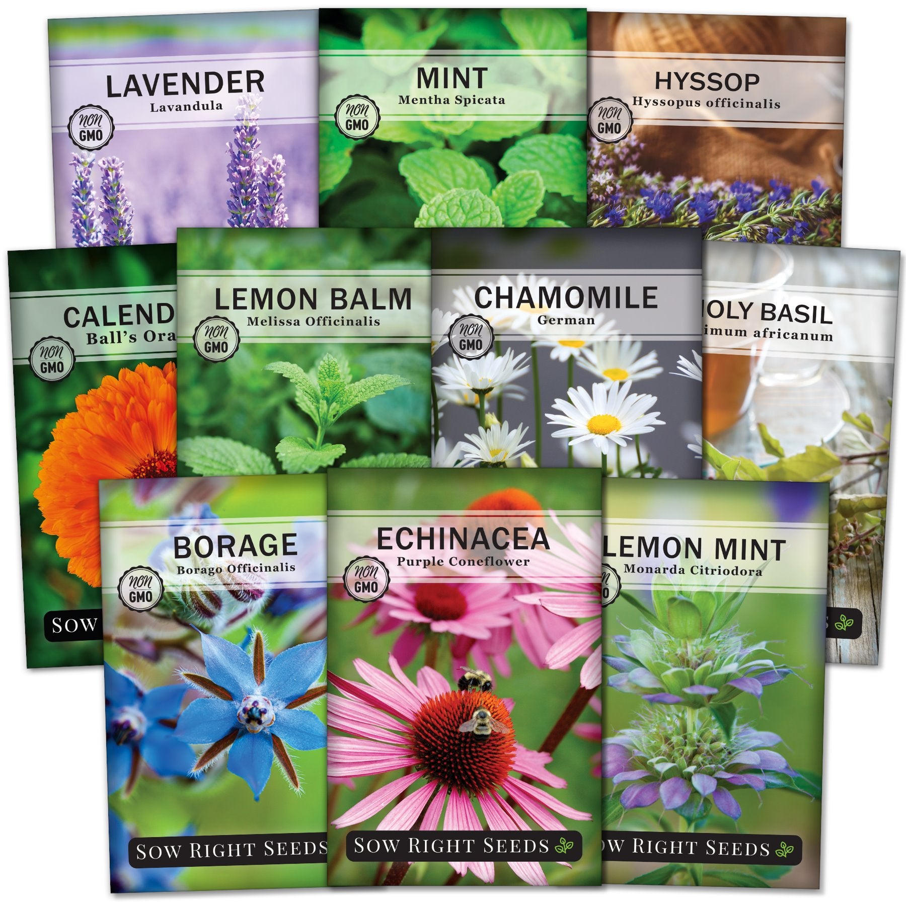 Ten Herbal Tea Garden Seed Collection for Planting in Your Garden Sow