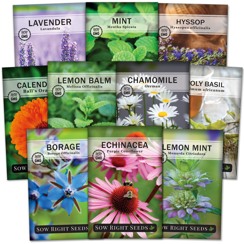 Ten Herbal Tea Garden seed packet collection with 10 variteties for sale