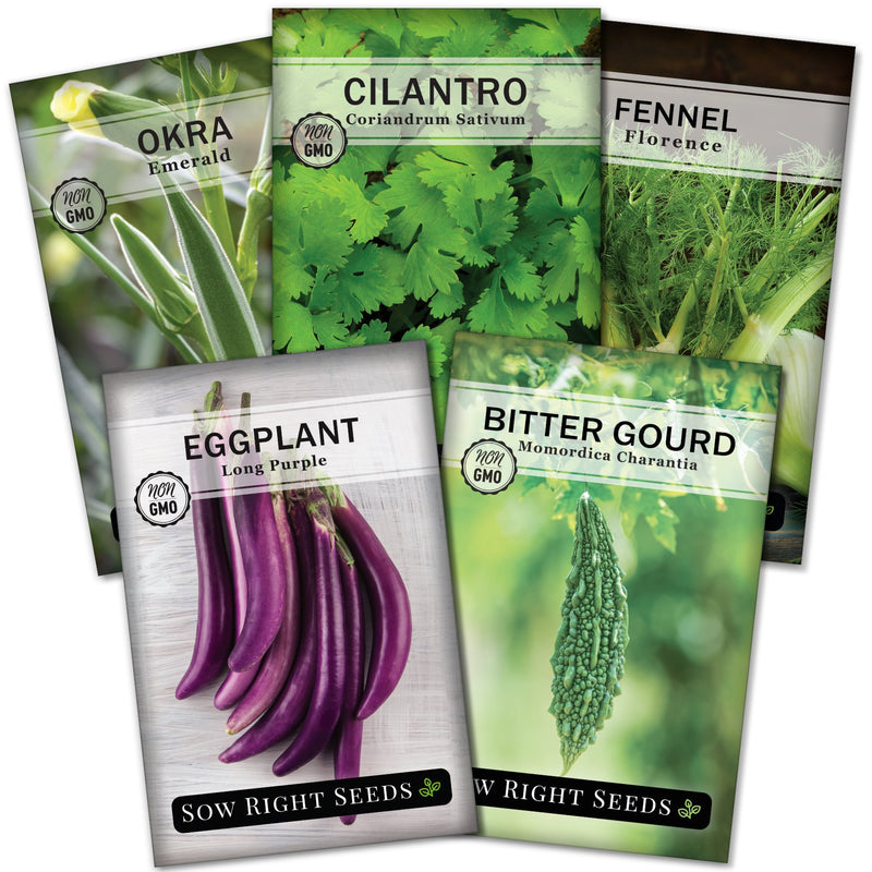 indian vegetable seed collection with 5 varieties for sale
