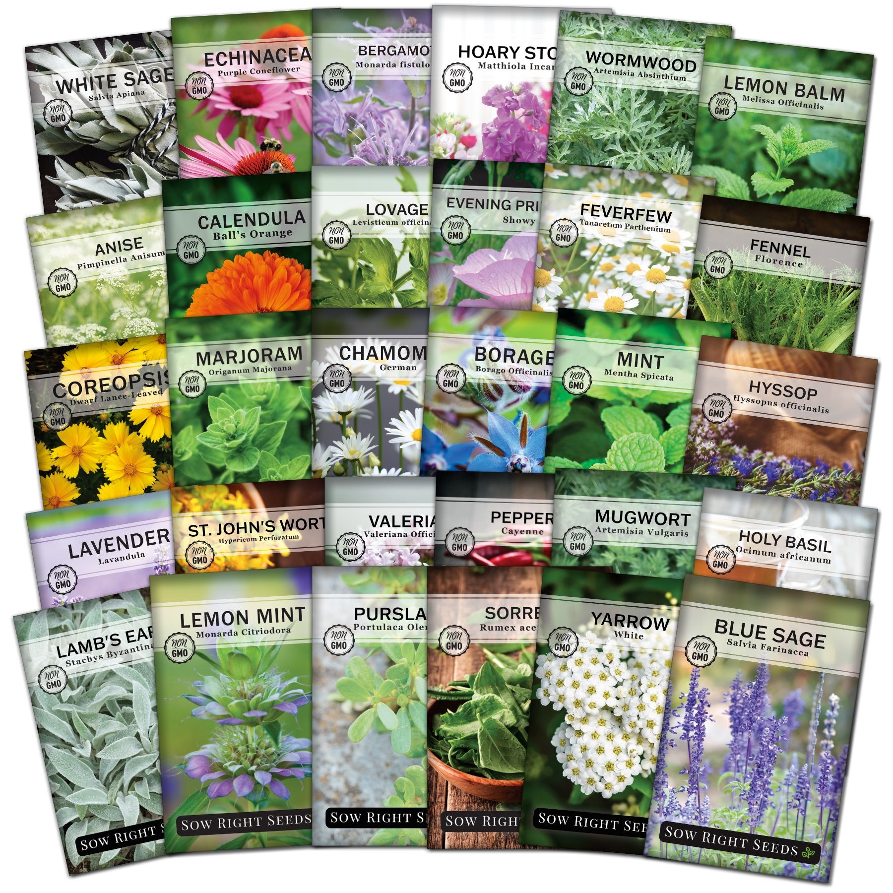 Super Medicinal Herb Seed Collection for Planting Home Remedies Sow