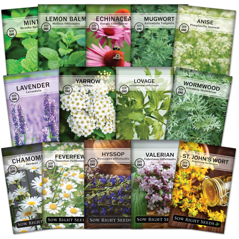 Large Medicinal Herb Seed Collection for Planting Home Remedies Sow