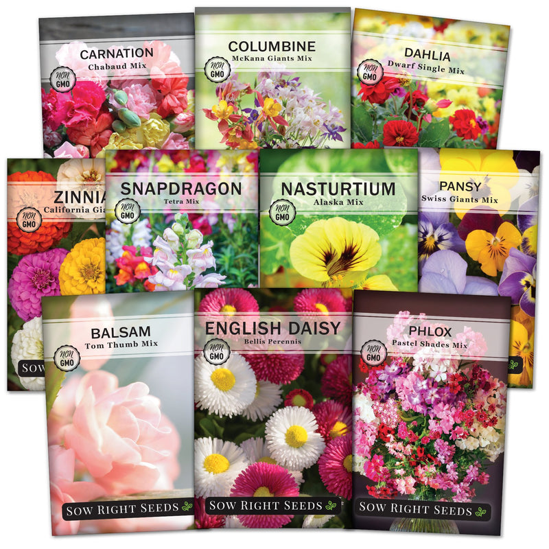 mixed flowers seed packet collection with 10 varieties for sale