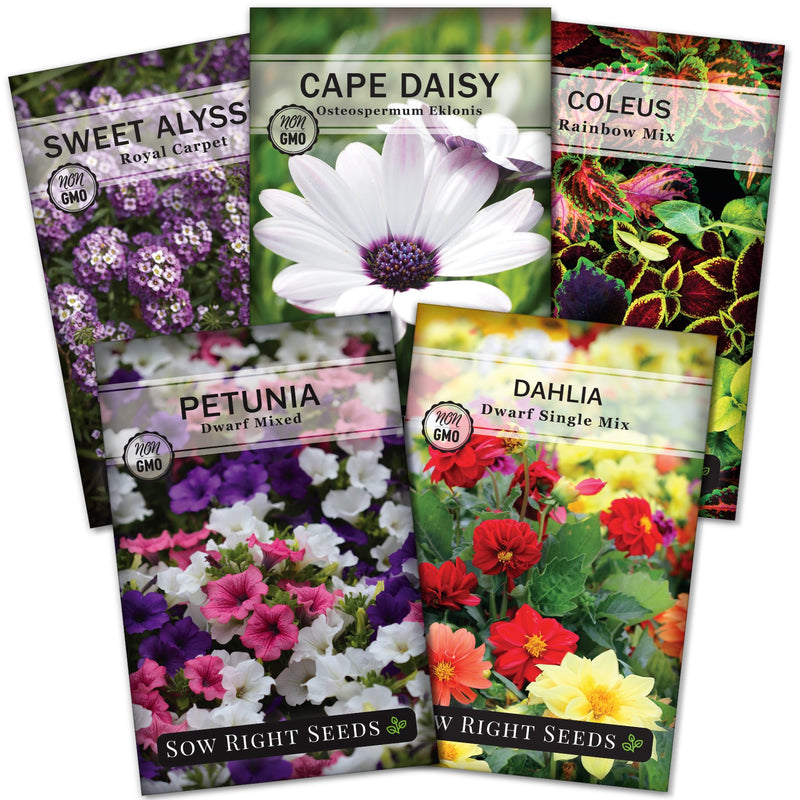 container flower seed packet collection with 5 varieties for sale