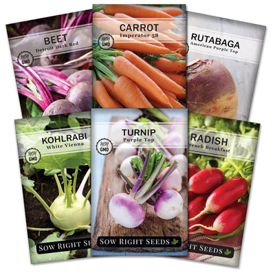 root vegetable seed packet collection with 6 varieties of seeds for sale