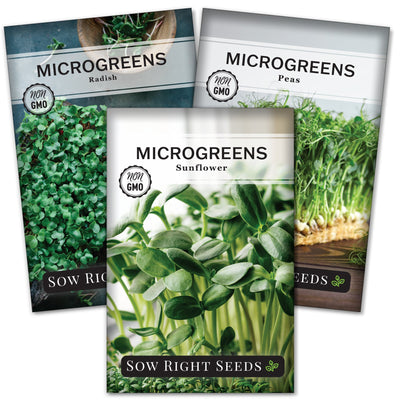 salad mix microgreen seed collection for sale including 3 seed packets