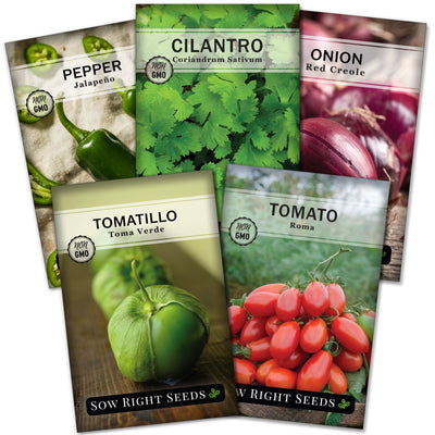 salsa seed packet collection with 5 varieties of seeds for sale