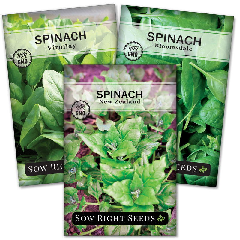 Spinach Collection