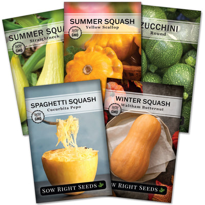 squash mix seed collection straightneck yellow scallop round zucchini spaghetti waltham butternut vegetables sow right seeds