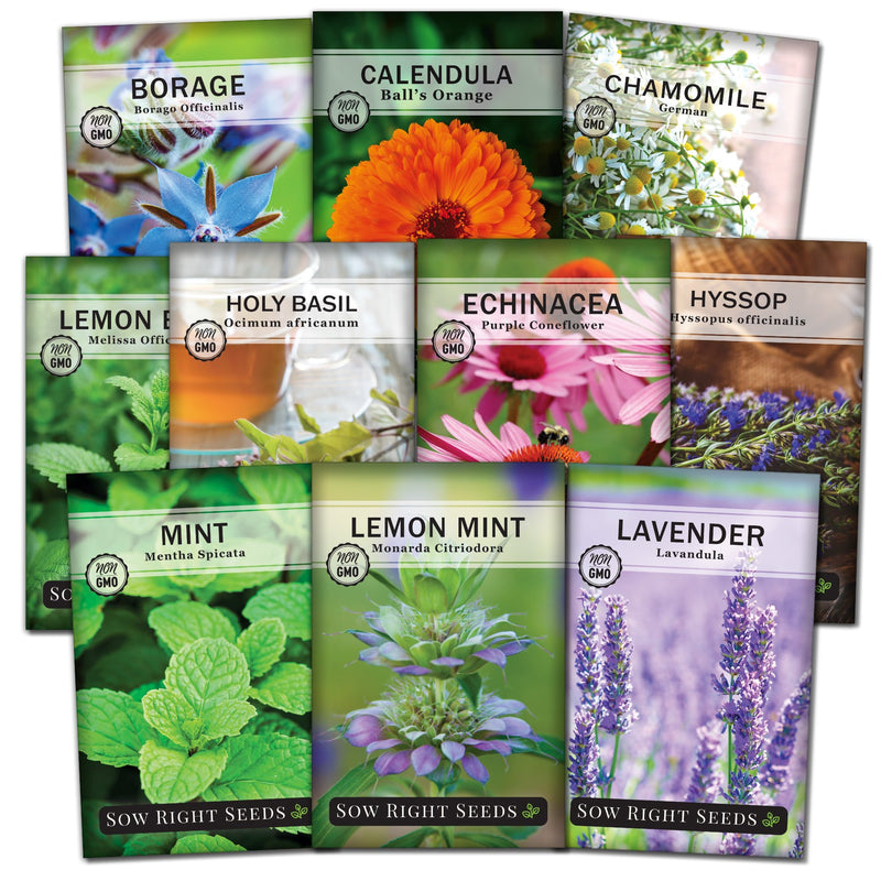 ten herbal tea seed collection borage calendula chamomile lemon balm holy basil echinacea coneflower hyssop mint lemon mint lavender