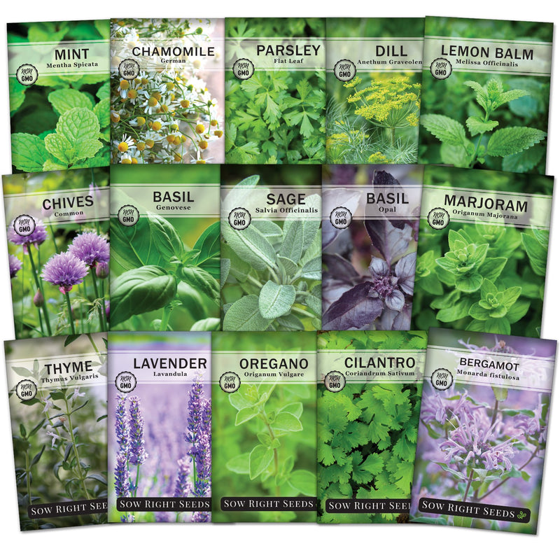 herb plant seeds 15 Herb Seed Collection for Planting in Your Home Garden – Sow Right Seeds