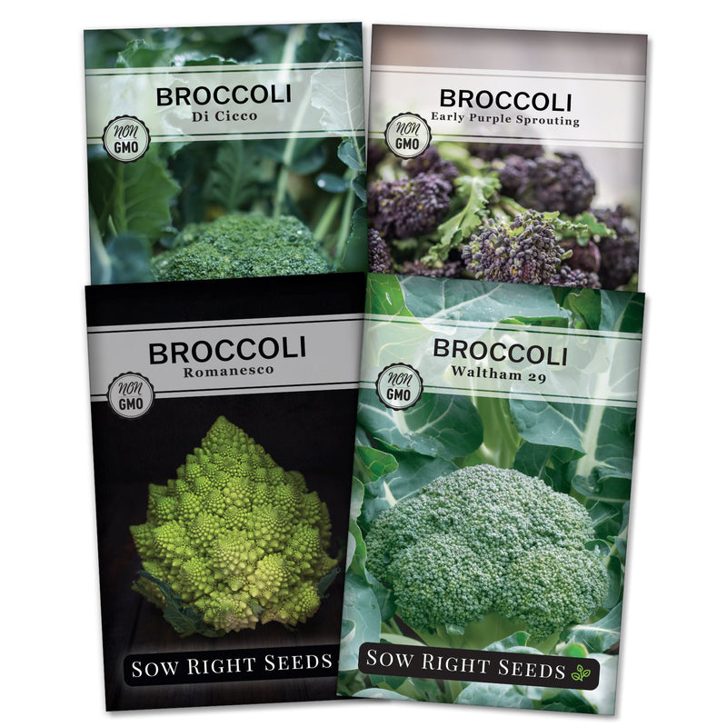 Broccoli Collection