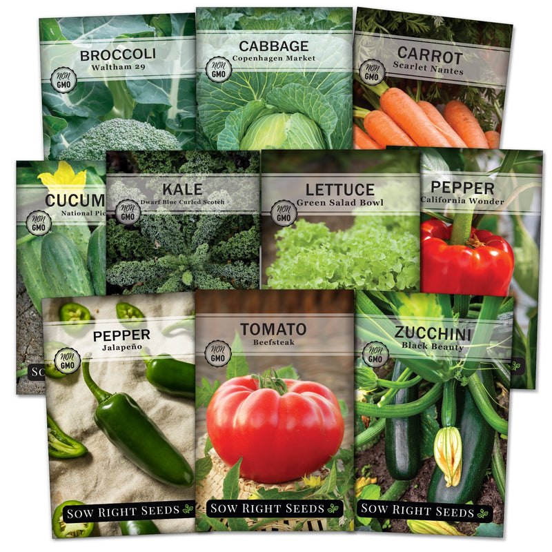 classic vegetable seed collection waltham broccoli copenhagen cabbage scarlet nantes carrot national picking cucumber dwarf blue curled scotch kale green salad bowl lettuce california wonder jalapeno pepper beefsteak tomato black beauty zucchini vegetables