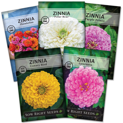 classic zinnia seed collection thumbelina polar bear purple prince canary bird luminosa sow right seeds