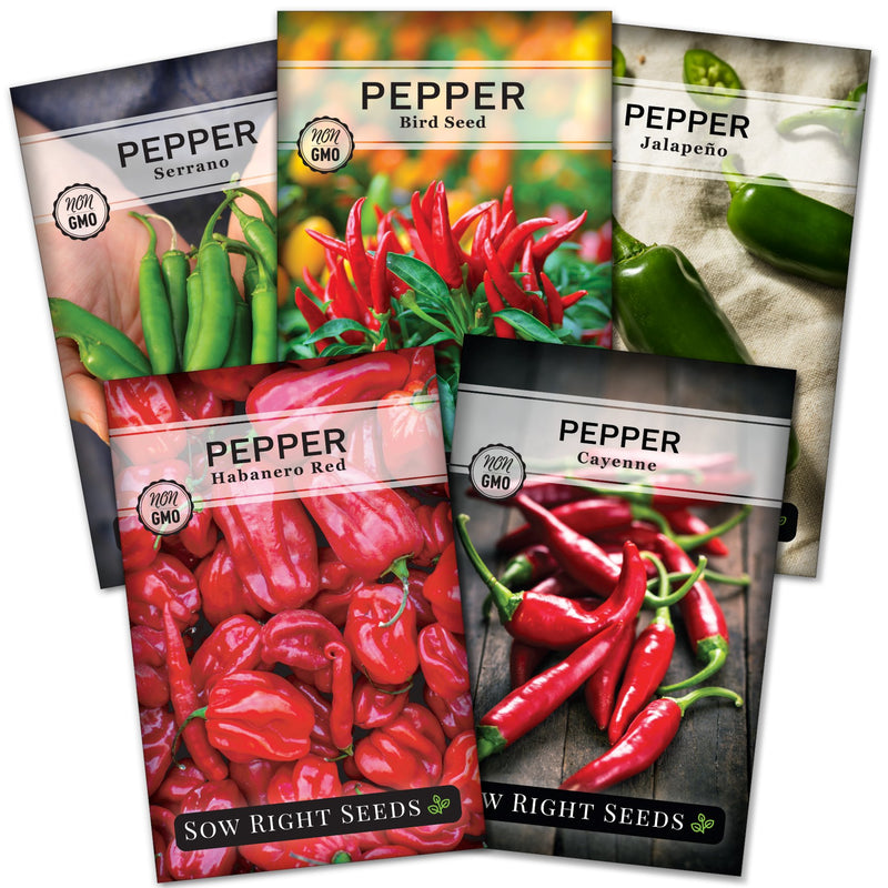 hot pepper seed collection serrano thai bird seed jalapeno habanero red cayenne vegetables sow right seeds