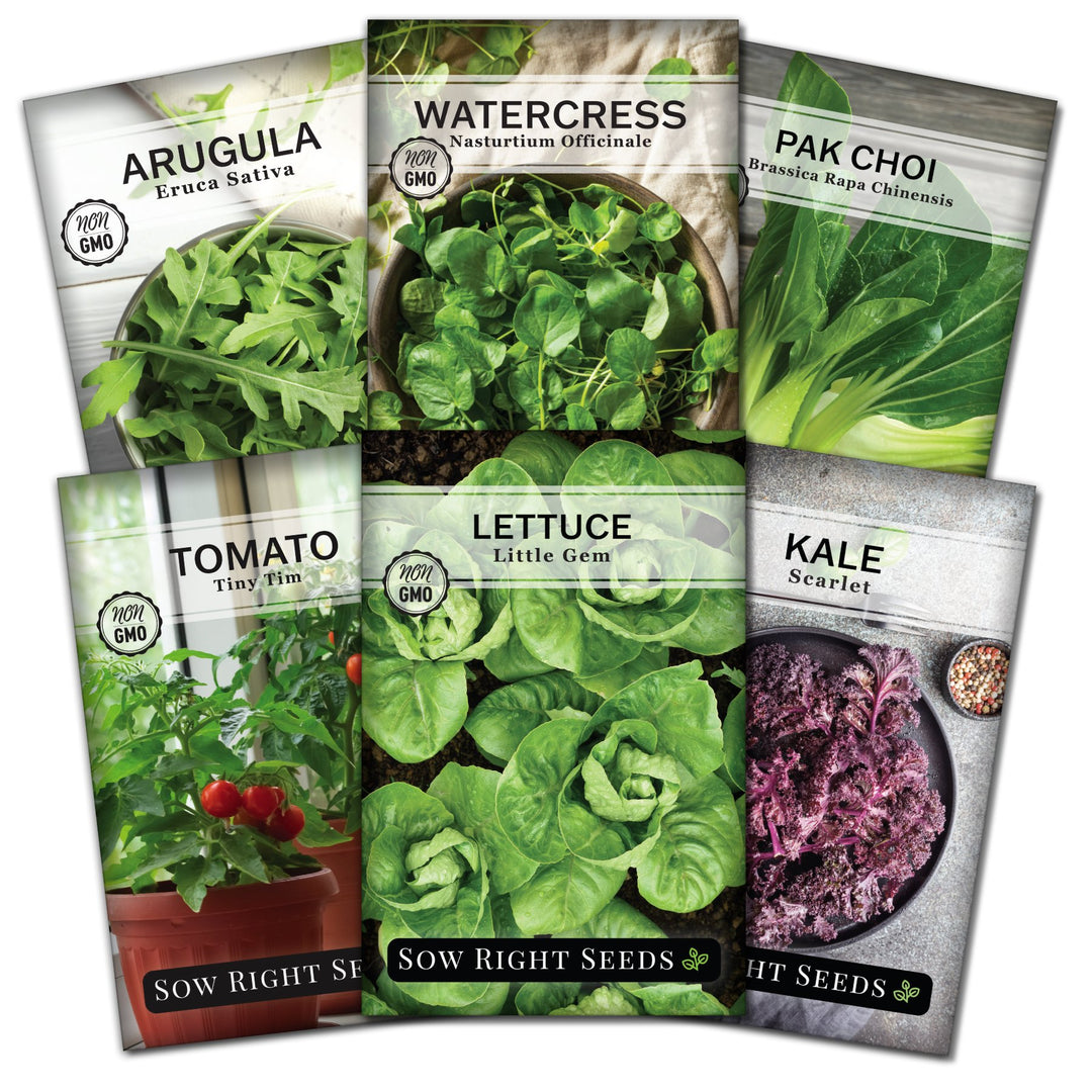 Hydroponic Vegetable Greens Seed Collection