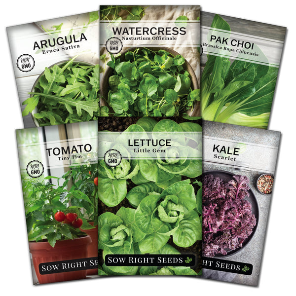 seeds for hydroponic garden Hydroponic Vegetable Greens Seed Collection