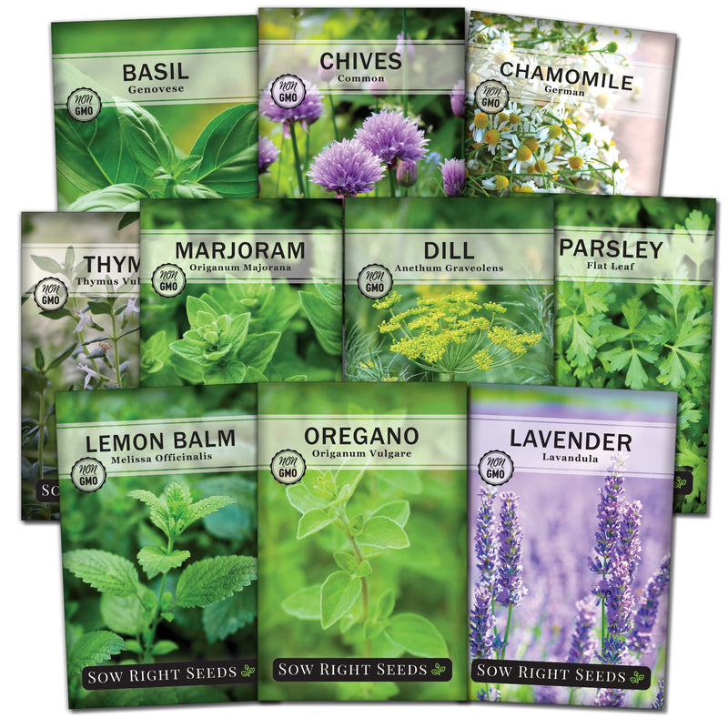 large 10 herb seed collection basil chives chamomile thyme marjoram dill parsley lemon balm oregano lavender sow right seeds