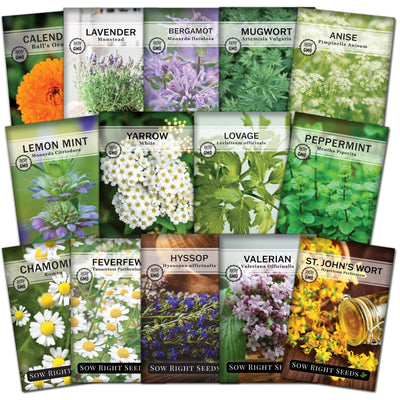 large medicinal herb collection seed packets calendula lavender bergamot mugwort anise lemon mint yarrow lovage peppermint chamomile feverfew hyssop valerian st john's wort