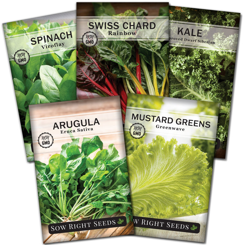 small greens seed collection viroflay spinach rainbow swiss chard improved dwarf siberian kale arugula greenwave mustard greens vegetables sow right seeds