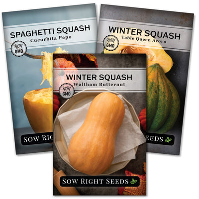 winter squash seed collection spaghetti table queen acorn waltham butternut vegetables sow right seeds