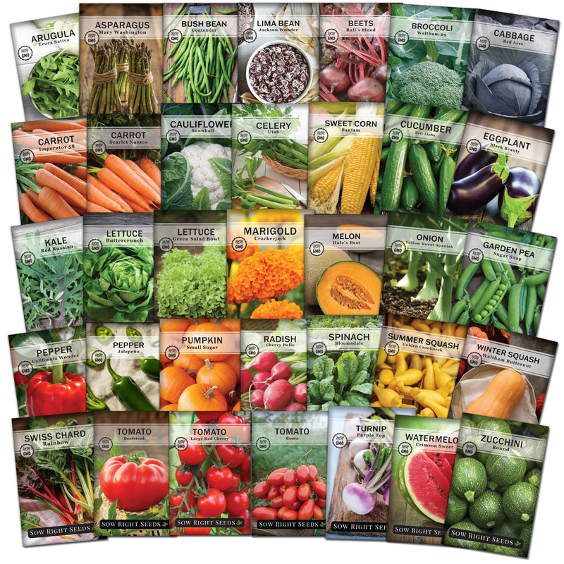 garden seed stores Homesteader's Seed Collection
