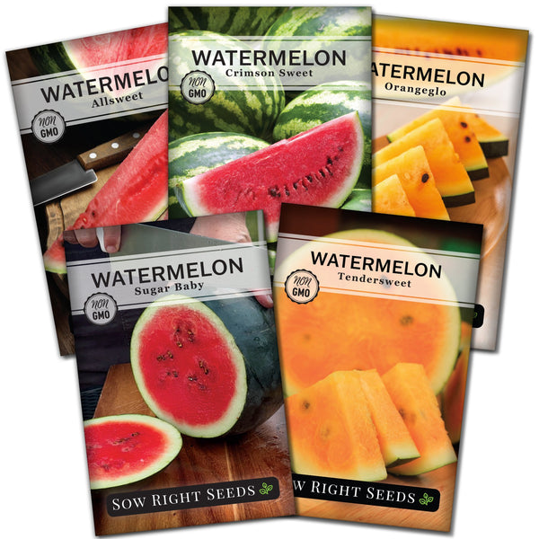 Watermelon Seed Collection for Planting