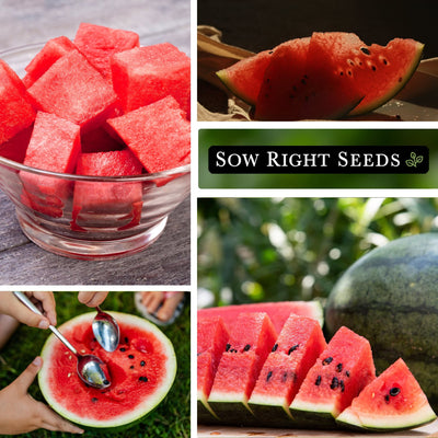 black diamond watermelon seeds cubes in bowl slices eating with spoon 