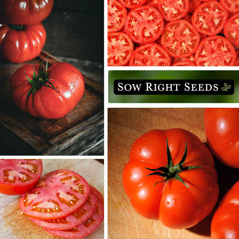 brandywine red tomato seeds kitchen harvest slices fruit