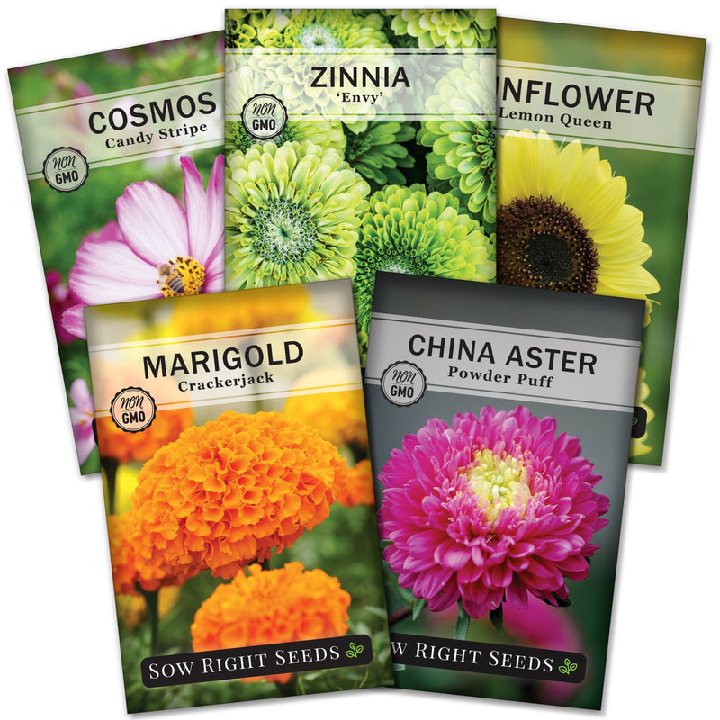 annual flower seed collection sow right seeds cosmos zinnia sunflower marigold aster