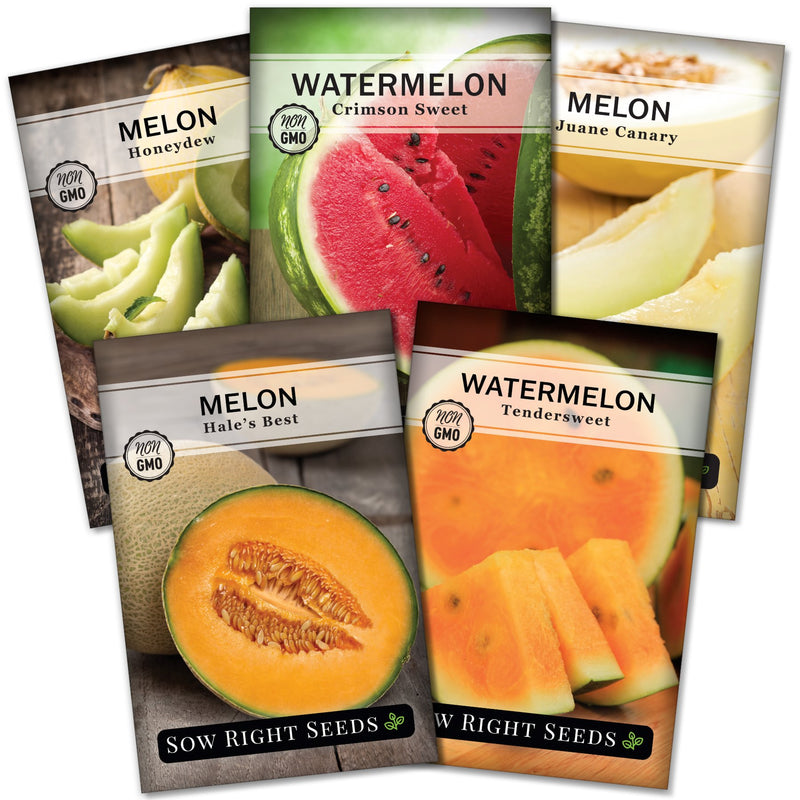 Melon Collection