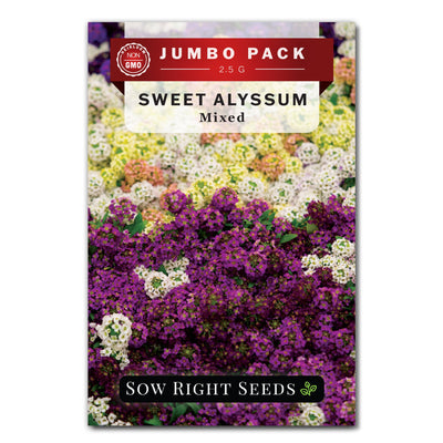 sweet alyssum mix seed packet flowers sow right seeds