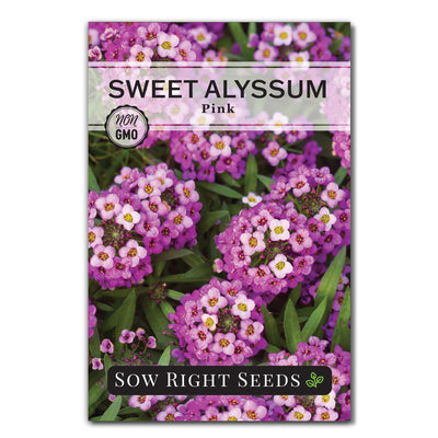 pink sweet alyssum seed packet flowers sow right seeds