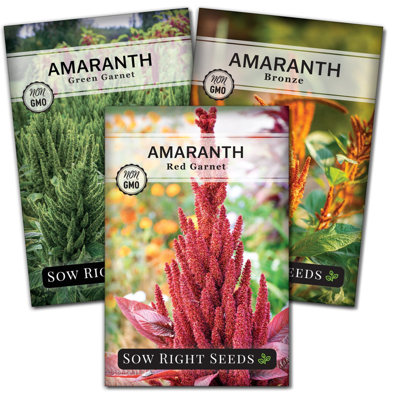 Amaranths Collection