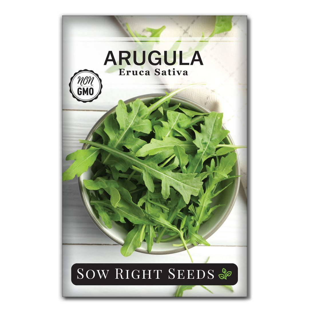 plant arugula seeds Arugula Seeds for Planting