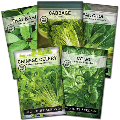 asian greens seed packet collection with 5 varieties of seeds for sale