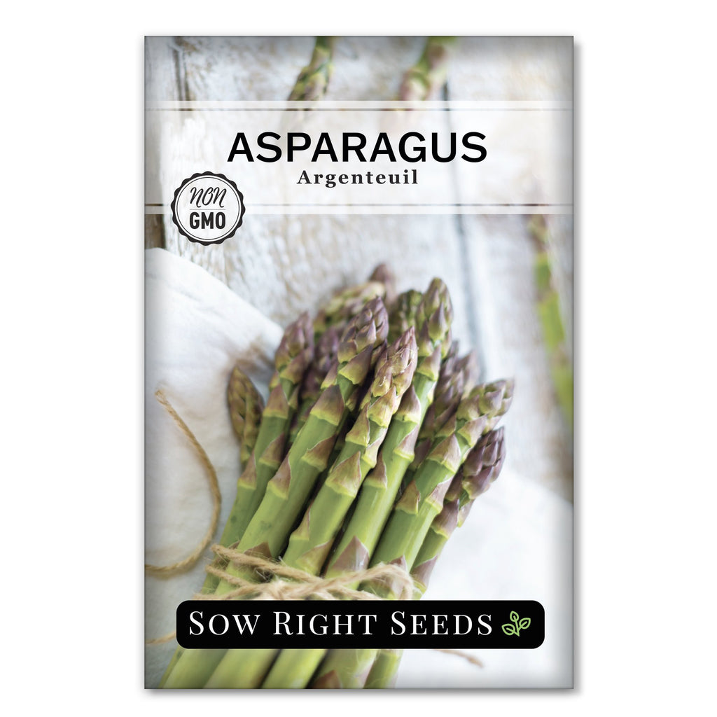 低価格の AsparagusArgenteuilFront_1024x 邦楽