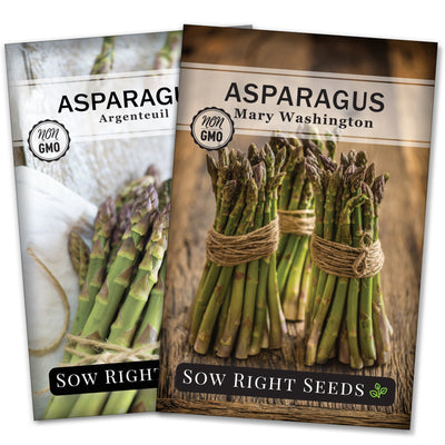 Asparagus Collection