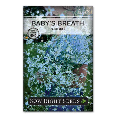 annual baby's breath seed packet flower sow right seeds