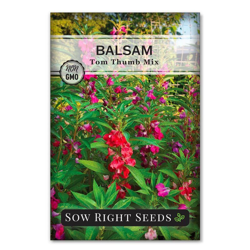 tom thumb mix balsam seed packet flower sow right seeds