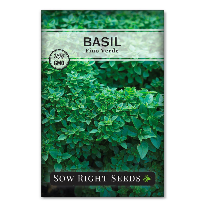 fino verde basil seed packet herbs sow right seeds