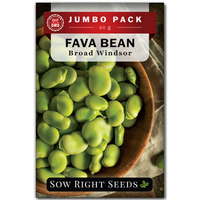 broad windsor fava bean seed packet vegetables sow right seeds