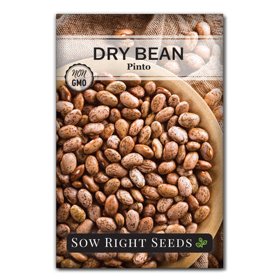 pinto dry bean seed packet vegetables sow right seeds