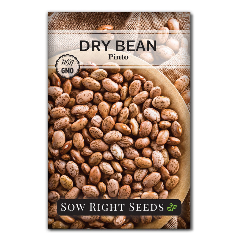 pinto dry bean seed packet vegetables sow right seeds