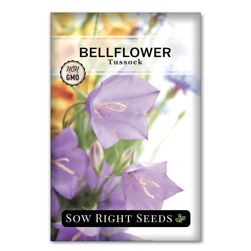 yellow bell flower seeds Sow Right Seeds - Tussock Bellflower Seeds for Planting