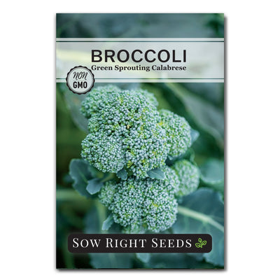 green sprouting calabrese broccoli seed packet vegetables sow right seeds